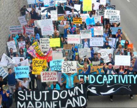 Marineland Animal Defense: ‘Neither Tanks nor Tankers’