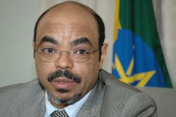Ethopian-Canadians protest PM Meles Zenawi at the G20