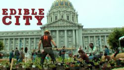 Cinema Politica UofT Screening: "Edible City"