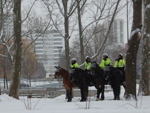 Pony police