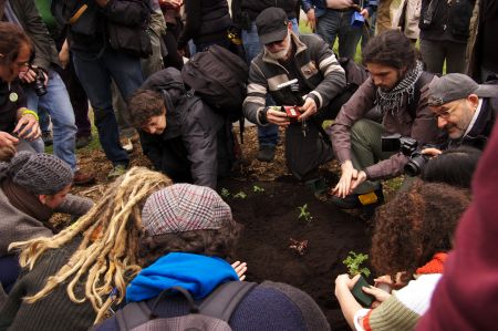 Occupy Gardens guerrilla gardening in Queens Park photo: Kristyna Balaban