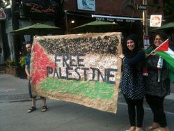 Photo by Brad Evoy, Gaza Rally and March - 30 July 2014